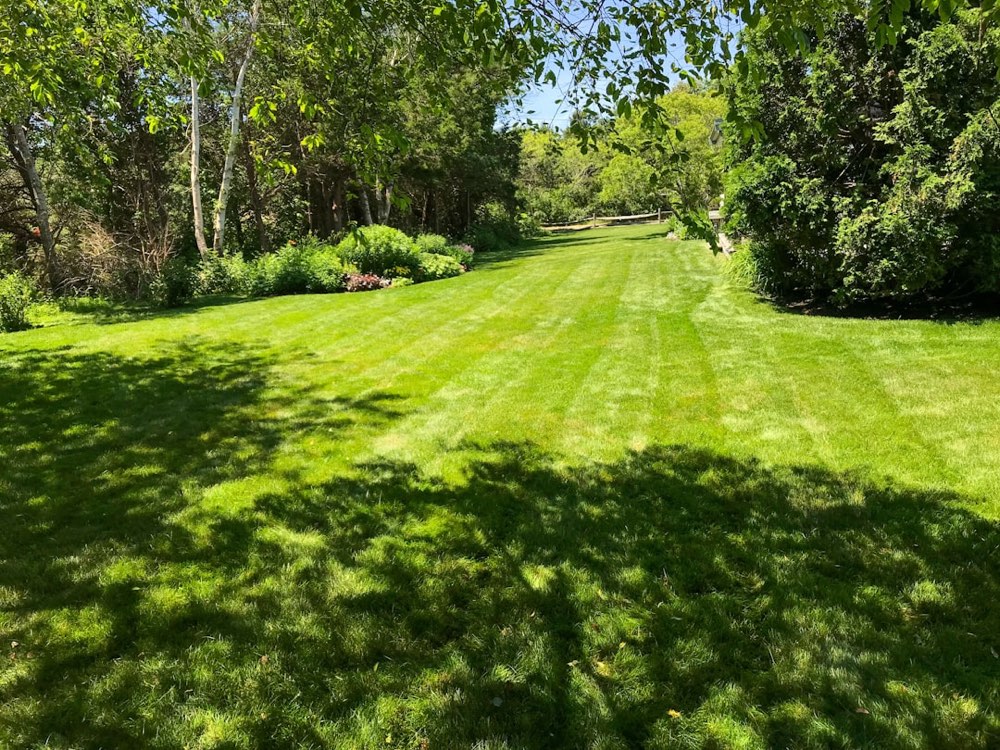 A freshly mowed lawn with crisp mower stripes and manicured edges